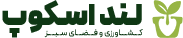 رادین